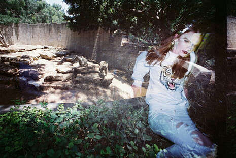 ���� ����