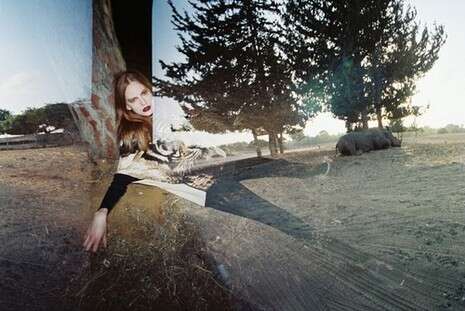 ���� ����