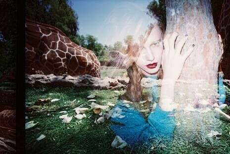 ���� ����