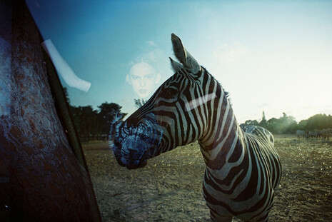 ���� ����