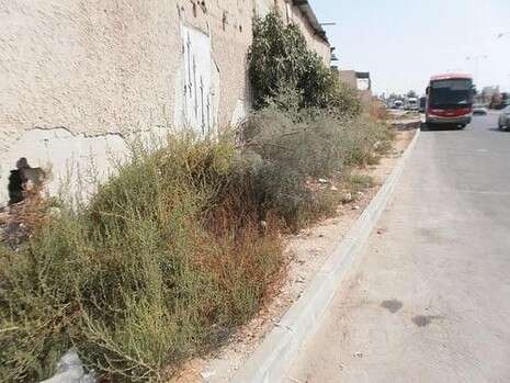 צילום: דודו עזריה צילום: דודו עזריה