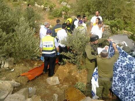 צילום: מוטי בוקצ'ין , זק''א צילום: מוטי בוקצ'ין , זק''א