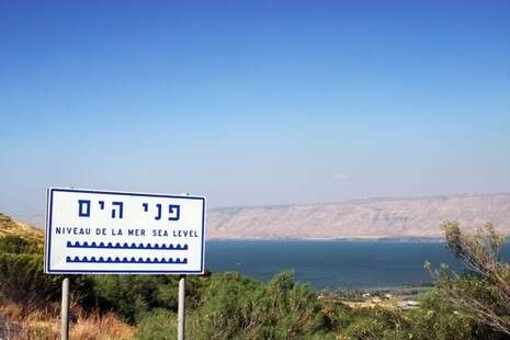 צילום: שאטרסטוק צילום: שאטרסטוק