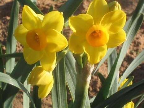 �����: ���� ��������