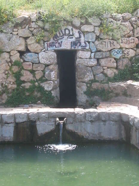 צילום: תומר נויהאוזר צילום: תומר נויהאוזר