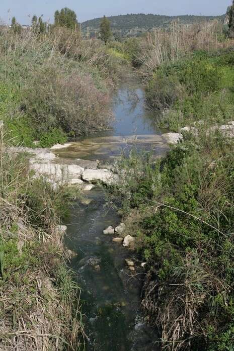 צילום: אלכס רוזקובסקי צילום: אלכס רוזקובסקי