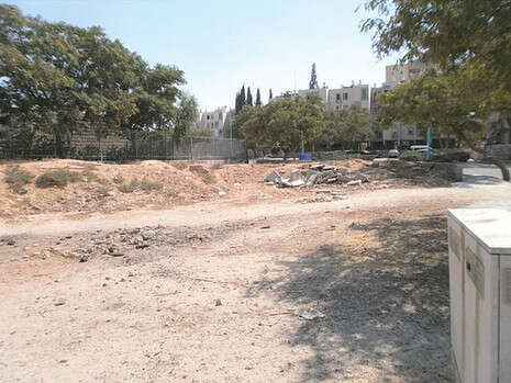 צילום: דודו עזריה צילום: דודו עזריה