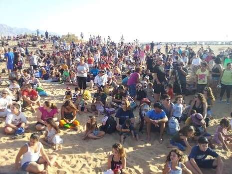 צילום: דב גרינבלט, החברה להגנת הטבע צילום: דב גרינבלט, החברה להגנת הטבע