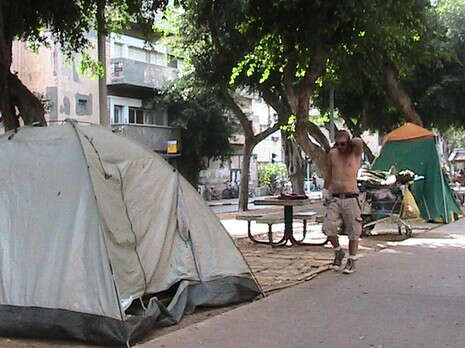 �����: ���� �����