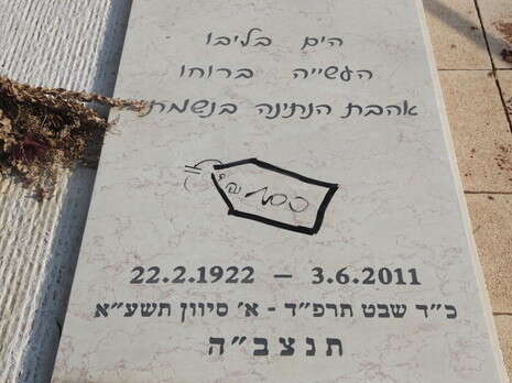 צילום: רענן כהן צילום: רענן כהן