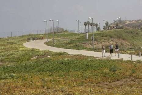 צילום: רענן כהן צילום: רענן כהן