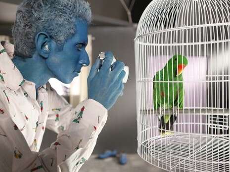 צילום: יורם אשהיים צילום: יורם אשהיים