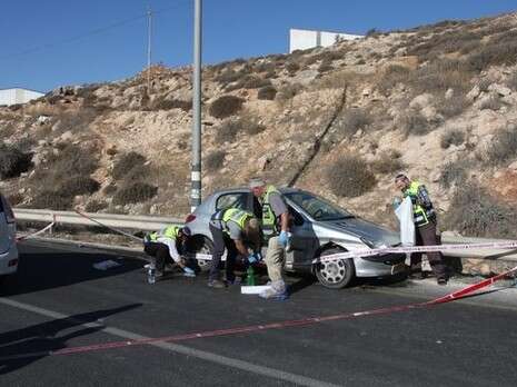 צילום: יהודה לחיאני צילום: יהודה לחיאני