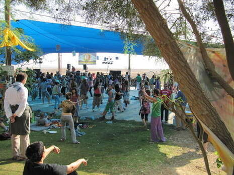 צילום: מיקה כרמלי צילום: מיקה כרמלי