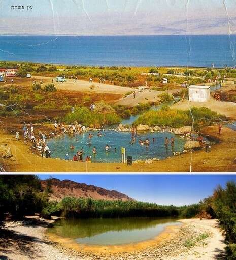 צילום: שירן בן יעקב צילום: שירן בן יעקב