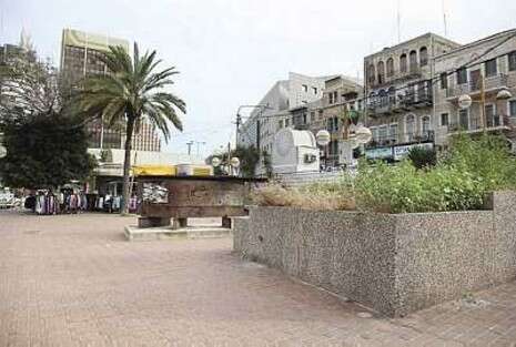 צילום: אלכס רוזקובסקי צילום: אלכס רוזקובסקי