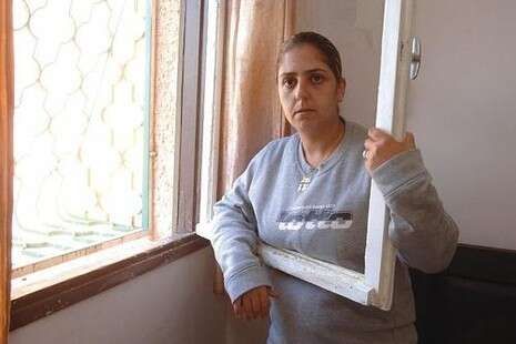 צילום: דודו גרינשפן צילום: דודו גרינשפן