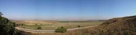 צילום: דב גרינבלט, החברה להגנת הטבע צילום: דב גרינבלט, החברה להגנת הטבע