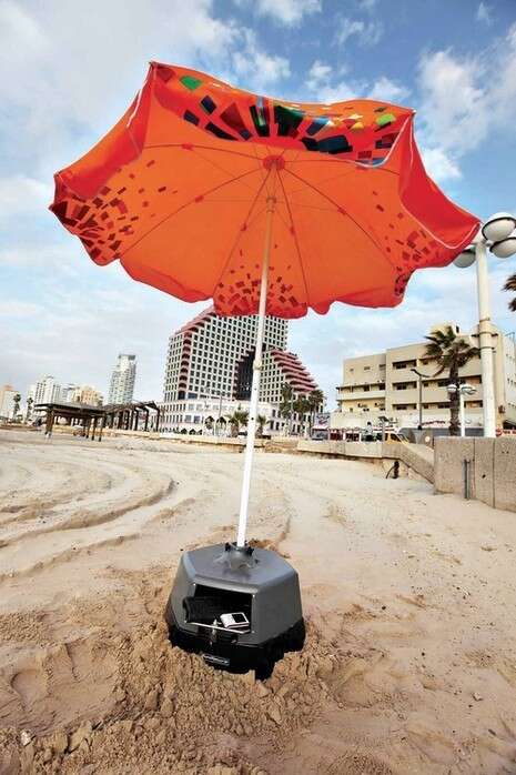 צילום: אלי דסה צילום: אלי דסה