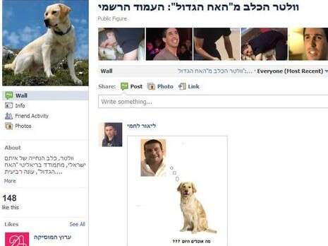 צילום מסך: מתוך פייסבוק צילום מסך: מתוך פייסבוק