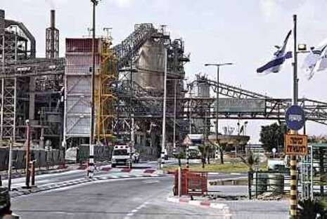צילום: יהודה לחיאני צילום: יהודה לחיאני