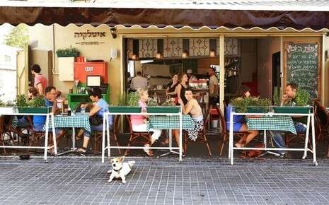 חנה כצנלסון חנה כצנלסון