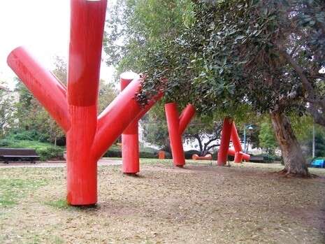 יערה רובינזון יערה רובינזון