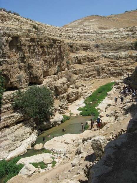 צילום: איתמר בן דוד, החברה להגנת הטבע צילום: איתמר בן דוד, החברה להגנת הטבע