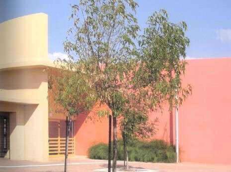 צילום: עמית גרון מתוך הספר צילום: עמית גרון מתוך הספר