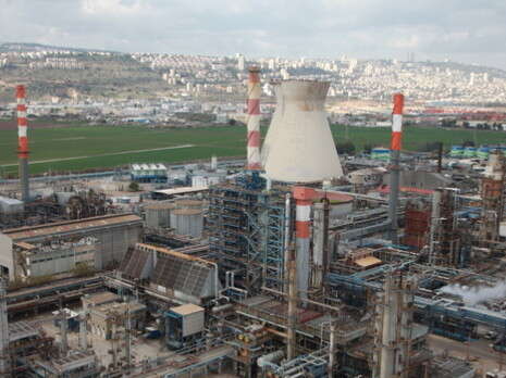 צילום: מקס ילינסון צילום: מקס ילינסון