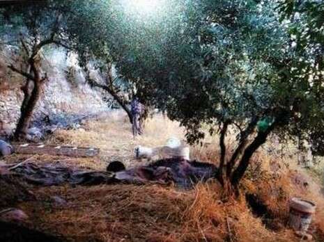 צילום: באדיבות המשפחה צילום: באדיבות המשפחה