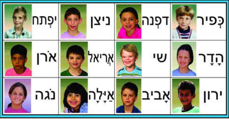 באדיבות תמר טלשיר באדיבות תמר טלשיר