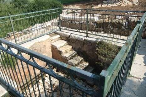 דובי זכאי דובי זכאי