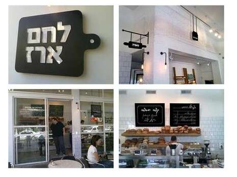 דן פרץ דן פרץ