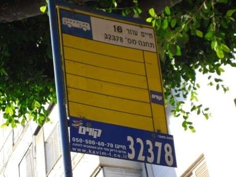 צילום: יוכי יעקבזון-גבסון, מגמה ירוקה צילום: יוכי יעקבזון-גבסון, מגמה ירוקה