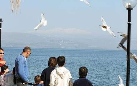 צילום: יגאל לוי צילום: יגאל לוי