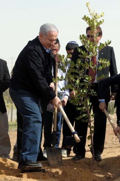 צילום: אבי אוחיון, לע''מ צילום: אבי אוחיון, לע''מ