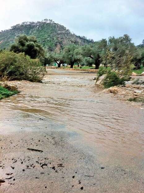 צילום: דודי ויינר, רשות הטבע והגנים צילום: דודי ויינר, רשות הטבע והגנים