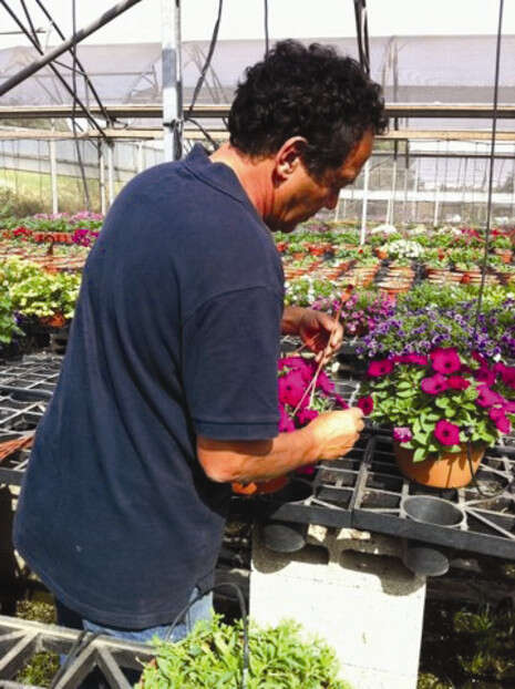 צילום: יחצ צילום: יחצ