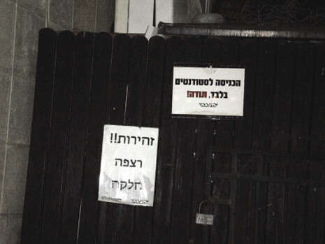 צילום: דודו עזריה צילום: דודו עזריה