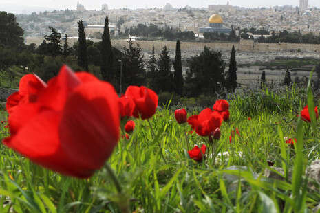 צילום: פלאש 90 צילום: פלאש 90