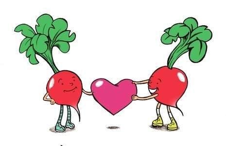 ����: ���� ���