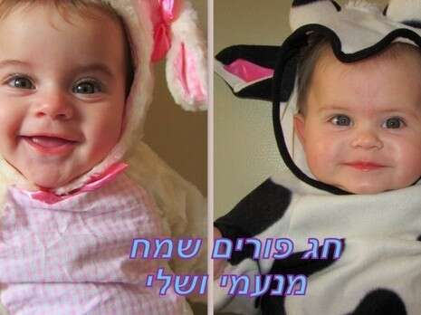 צילום: רפי, נשלחה באמצעות המייל האדום צילום: רפי, נשלחה באמצעות המייל האדום