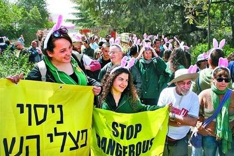 צילום: יעל איפרגן צילום: יעל איפרגן