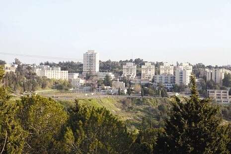 צילום: נטע לאופר צילום: נטע לאופר
