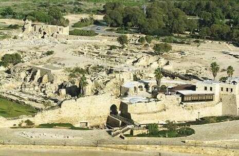 צילום: אלי דסה צילום: אלי דסה