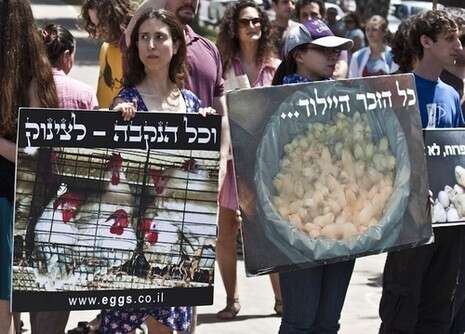 צילום: אלון שרף צילום: אלון שרף