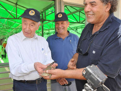 צילום: תמי ליבנה צילום: תמי ליבנה