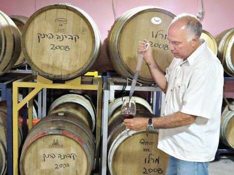 הדס קמחי הדס קמחי