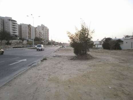 צילום: דודו עזריה צילום: דודו עזריה